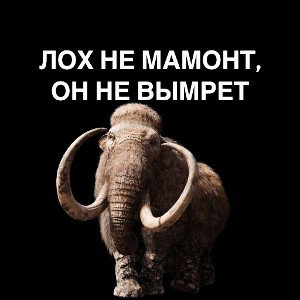 я еду на бали 