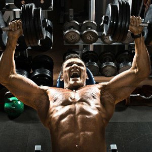 No Pain No Gain