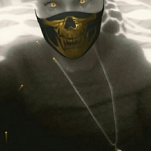 Troy_N@(fearless nigga)