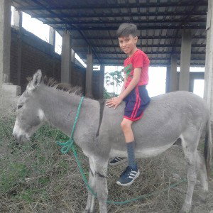 Elvis Jose 04109