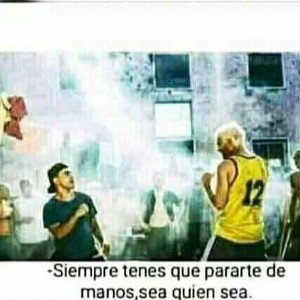 EL MOTAS23K ÉLITE  - Rookie