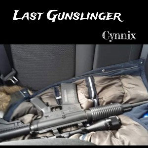 Last Gunslinger