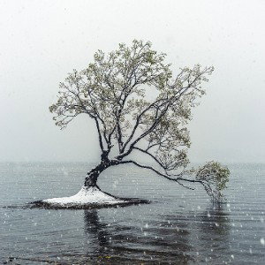 Alone