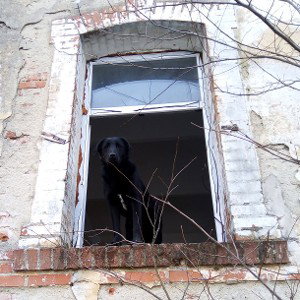 Приключения в душе