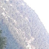 TEDAVİ