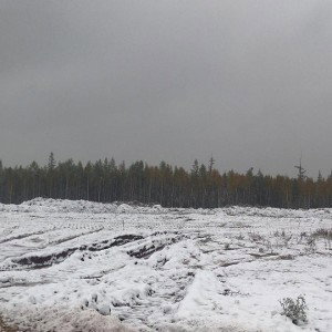 Не Замерзай