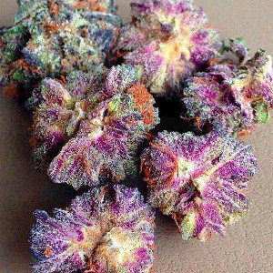 🎧MARYJANE PARTY STYLE FREESTYLE🎧