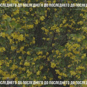 Белая крыша