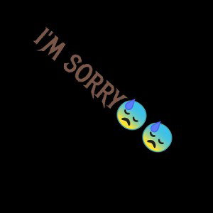 IM SORRY