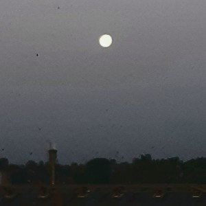 7 ème ciel 