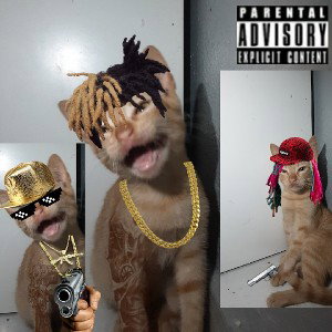 anuelrubioaa y xxxtancionrubio y lil pump rubio 