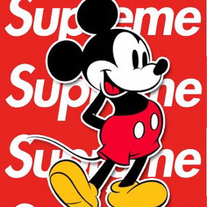 FLEX