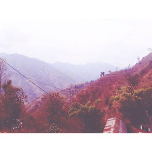किसानको छोरा
