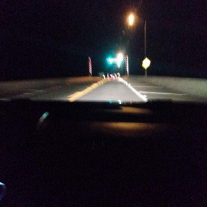 trafficking