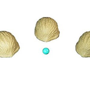 Shell Game