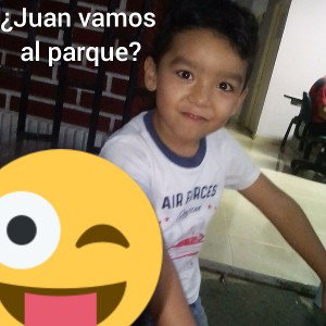 no entienden