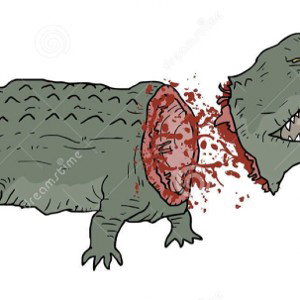 Fossile du crocodile