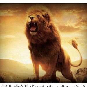 FAZA (10:59)
