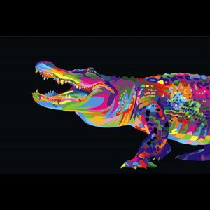 🔥🐊Freestyle Gators🐊🔥