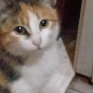 это мой первый трек