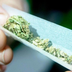 Marry Jane 