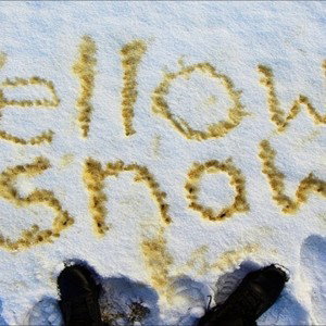 murder snow I just piss on it  