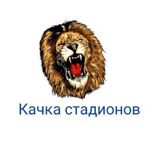MC Менталитет-Качка стадионов