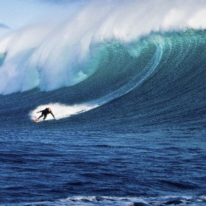 🌊WAVE🌊