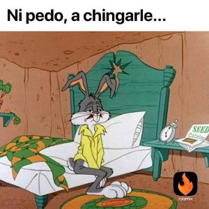 Lo que hay. 