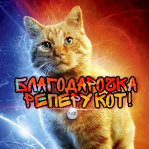 Благодарочка коту! Русская рулетка топ!
