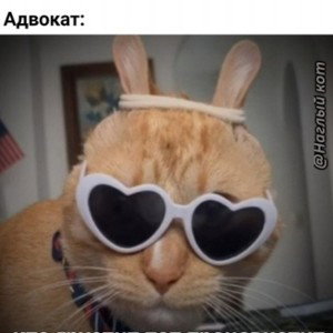иди нафиг Фредди 