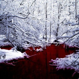 look is that snow where all that blood over there