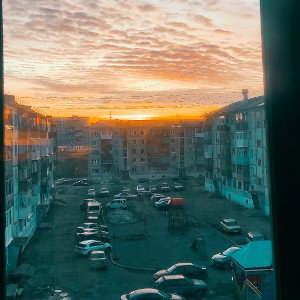 птицы