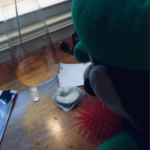 Luigi Spooky Cheese