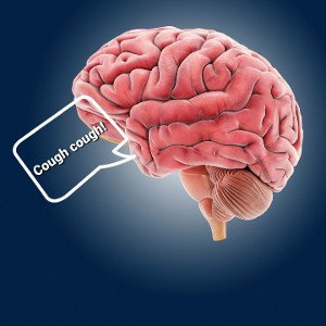Brain fever