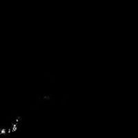 dragon.  1. 