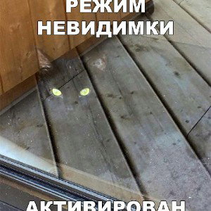 PéжиM HêBиДиmķи