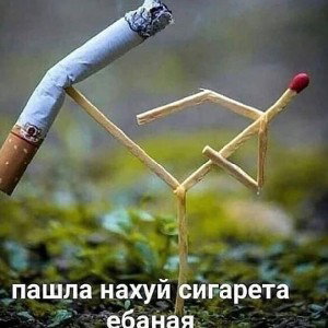 в школу