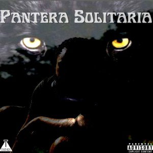 DeadShot - Pantera Solitária