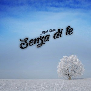 Senza di te