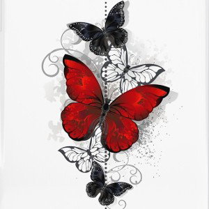 Schmetterling  