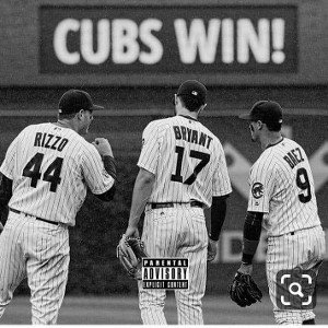 Cubby Boy swimming pools (Cubs mix)