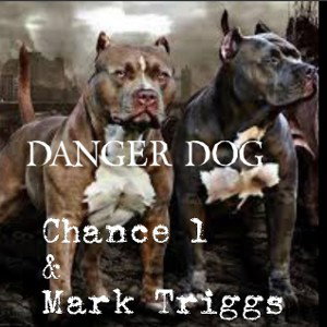 DANGER DOG