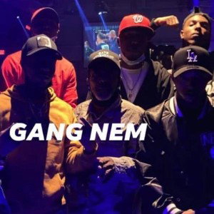 Tsav Da Rapper- Gang Gang