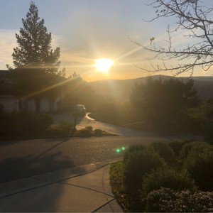 Vibes Only (11:36)