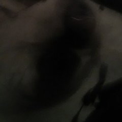 dillil