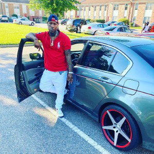 Zo U wildlyn 