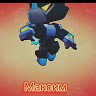 main
crew star