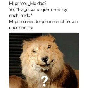 La primera mijo