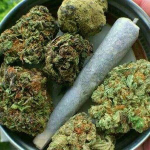 dro spliffs ft beautiful disaster